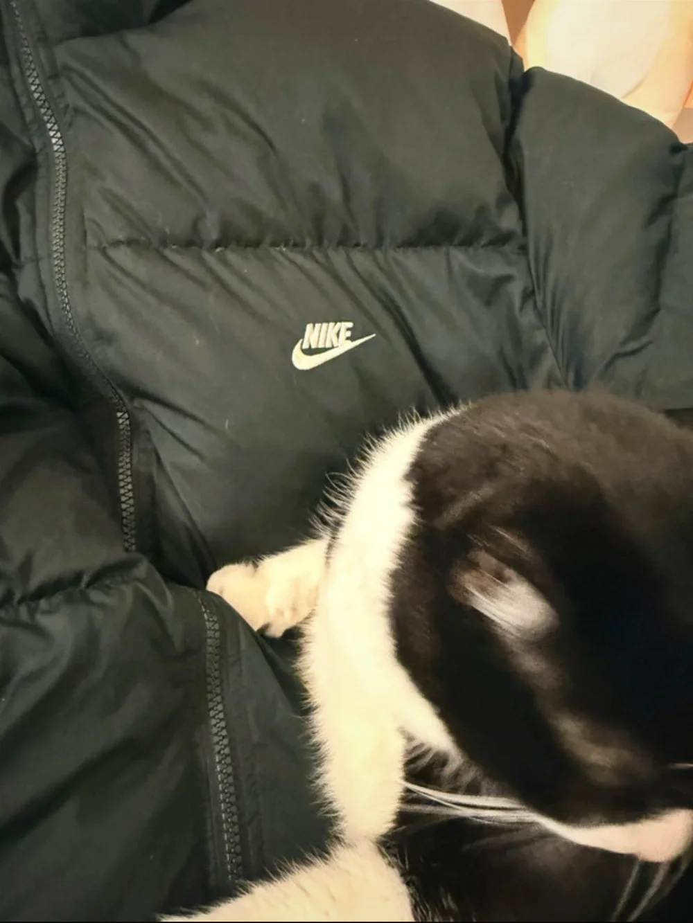 Nike black puffer Jacket - Size L (BEST if ur a XL)